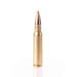 Fiocchi .308 Winchester EPN 180gr. 20 stk